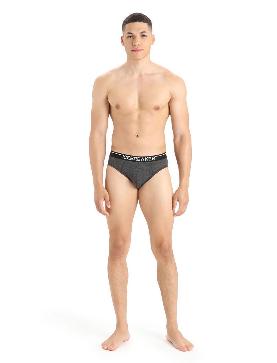 Jet Heather Men's Icebreaker Merino Anatomica Briefs Underwear | USA 1298KORI